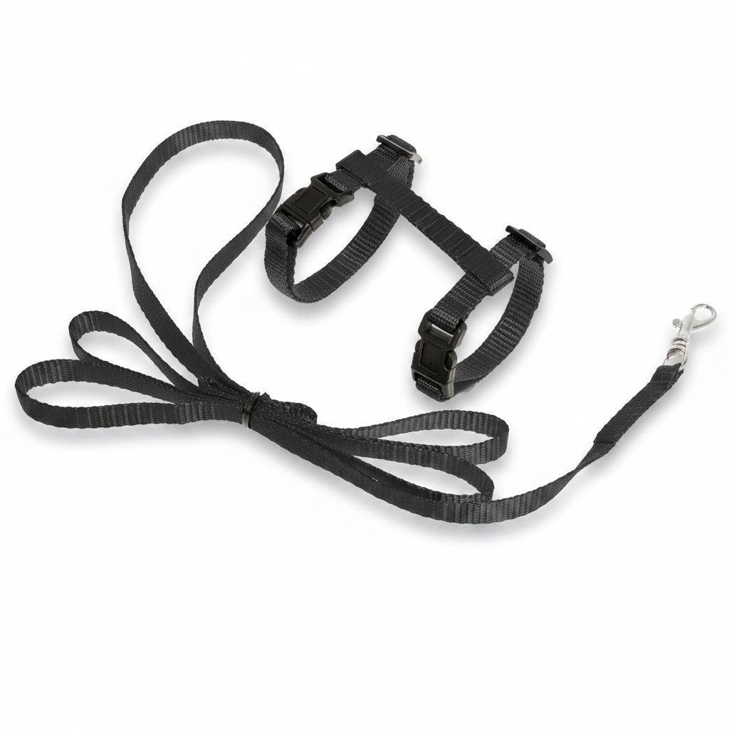Flamingo Ziggi black adjustable kitten harness with matching 120 cm leash