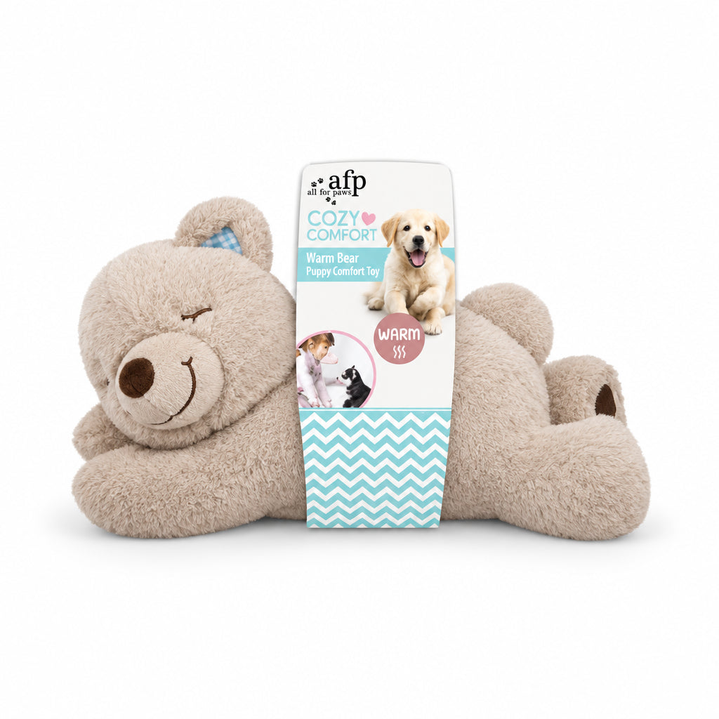 All For Paws Little Buddy Warm Bear puppy comfort toy with removable warming insert