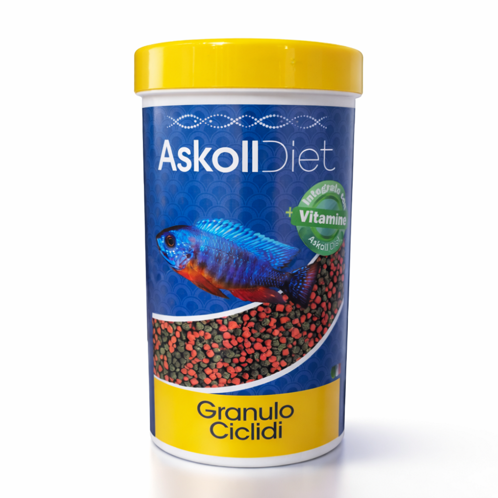 Askoll Diet Granulo Cicliidi fish food container with a blue label, yellow lid, and a picture of a blue fish, on a white background.