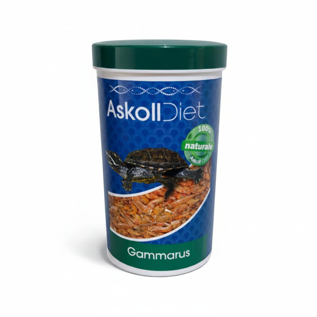 A cylindrical container of Askoll Diet Gammarus food, featuring a dark green lid, a blue label with a turtle graphic, and a photo of the food flakes, set against a plain white background.