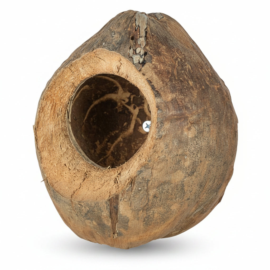 A natural brown coconut shell wall-mounted birdhouse with a circular entrance hole and a small metal screw fastener visible inside, isolated on a white background.