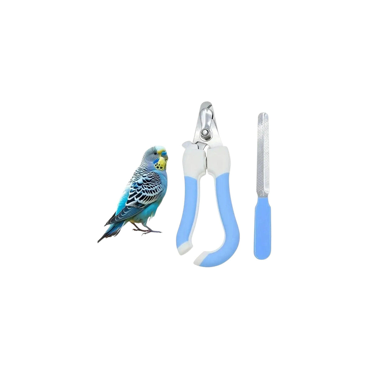 Bird Nail Clipper & File Set