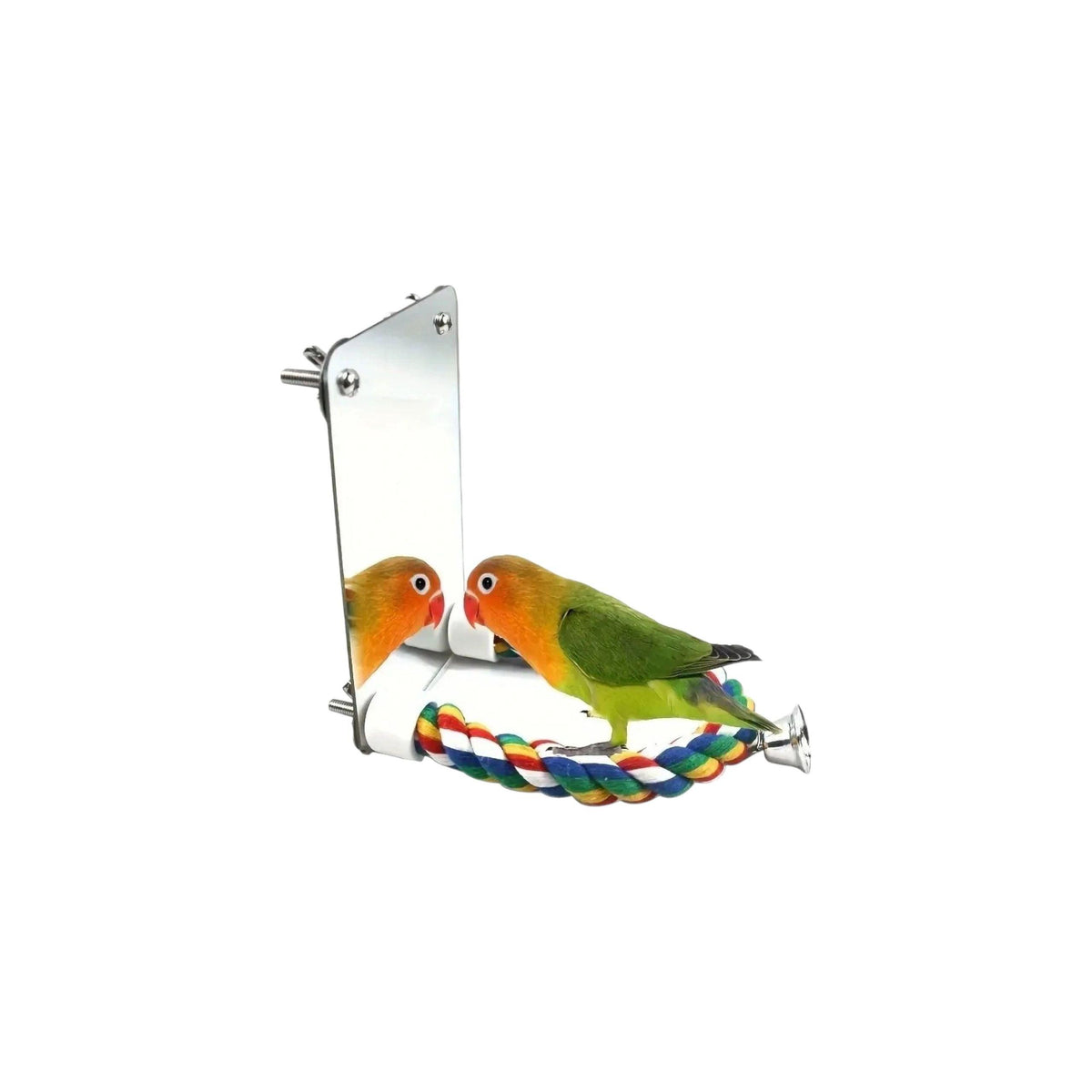Colorful Bird Perch With Mirror Bird - Parrot Toy