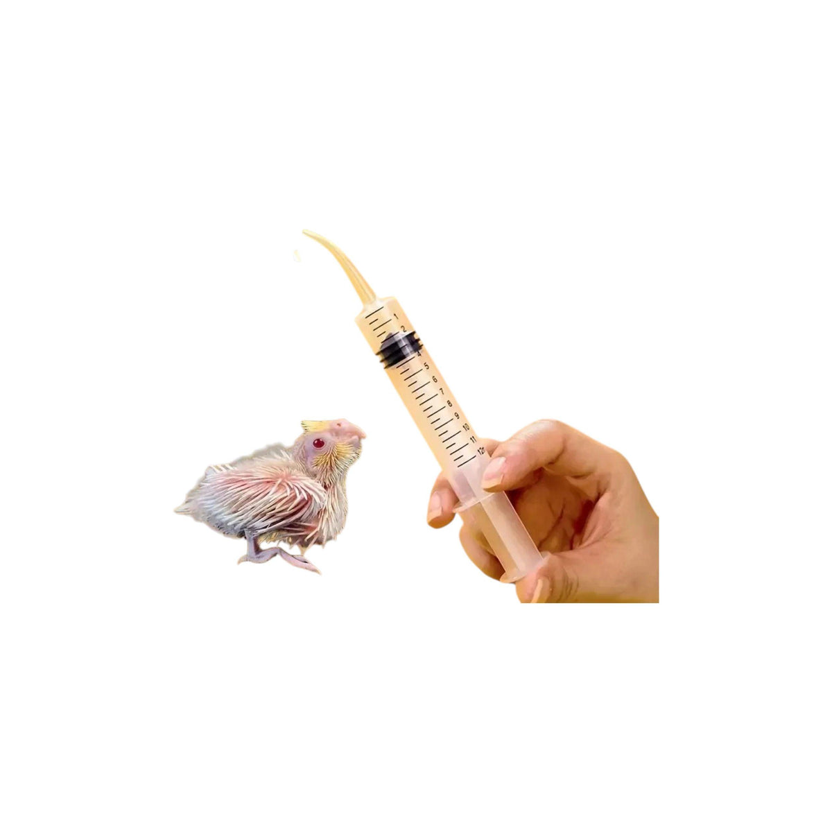 Curved Tip Baby Bird Hand Feeding Syringe, 12ml