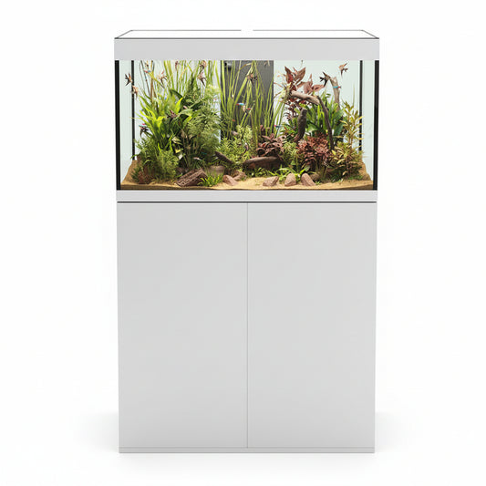 A Askoll Opera modern white aquarium stand with a large rectangular glass tank filled with green aquatic plants, driftwood, and sand, shown against a plain white background.