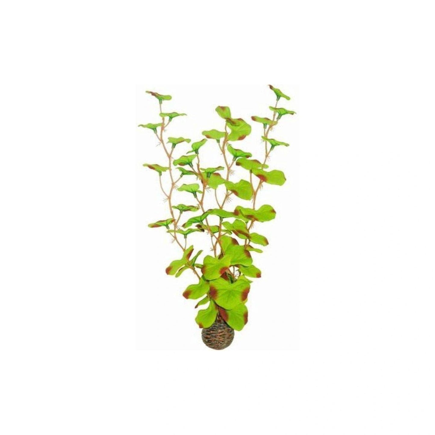 SuperFish Easy Plant Silk Artificial Aquarium Plant 30cm – A4070325
