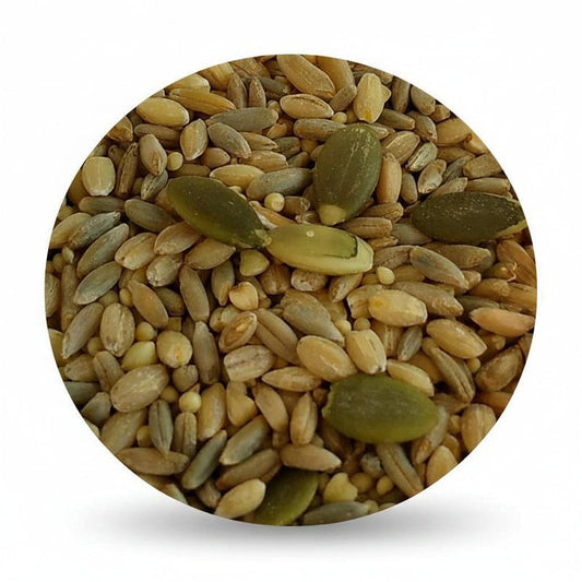 top's all in one seed parrot mix