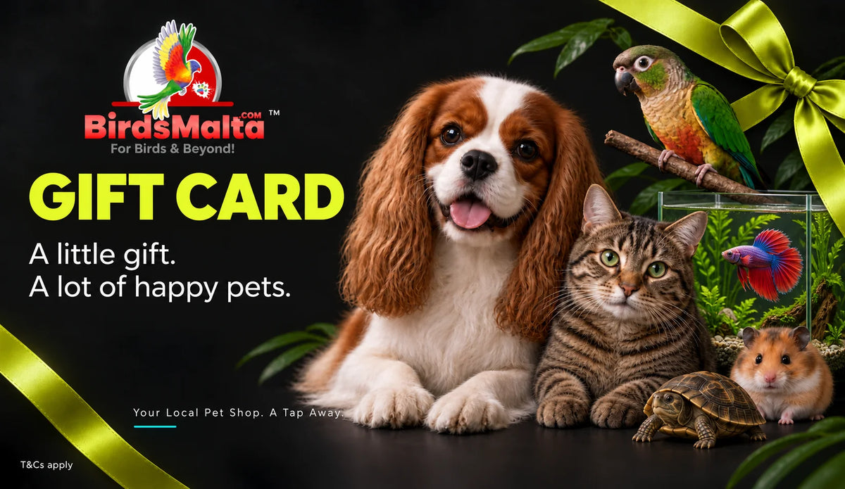 BirdsMalta gift card promotional graphic with a brown and white dog, a tabby cat, a small turtle, a hamster, a parrot, and a fish tank on a black background, with large yellow text reading 'GIFT CARD' and green ribbon graphics.