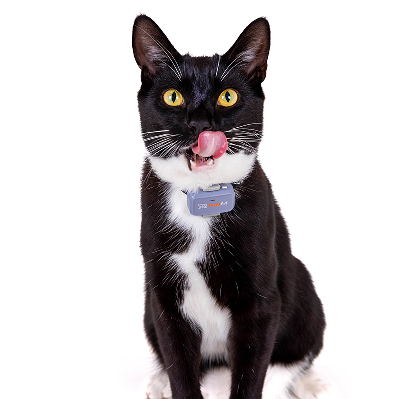 Pawfit Lite Cat Kit | Smallest GPS Cat Tracker + Spare Collar