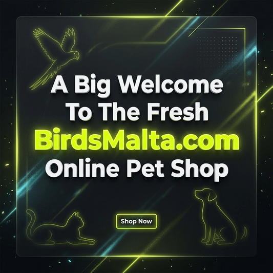 The newly redesigned BirdsMalta.com online pet shop on a laptop screen showing premium pet supplies, bird food, and dog accessories available for next day delivery in Malta and Gozo.