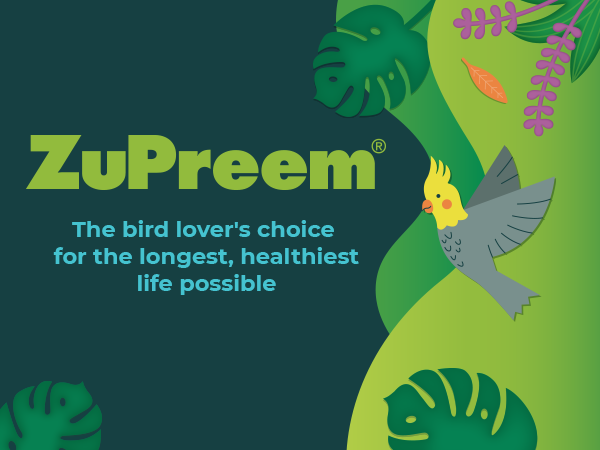 ZuPreem Parrot Food Malta: The Ultimate Guide to the Best Parakeet & Parrot Diet