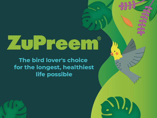 ZuPreem Parrot Food Malta: The Ultimate Guide to the Best Parakeet & Parrot Diet