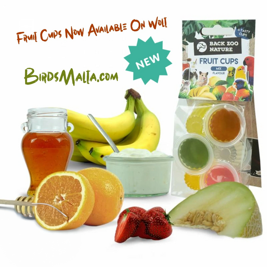 Back Zoo Nature Fruit Cups — Now Available in Malta at BirdsMalta.com!