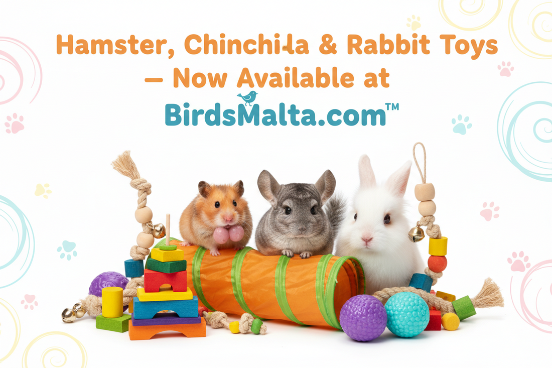 Hamster, Guinea Pig, Rabbit & Chinchilla Toys in Malta