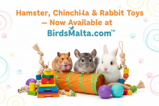 Hamster, Guinea Pig, Rabbit & Chinchilla Toys in Malta