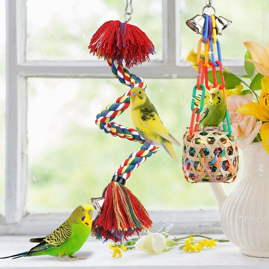 Innovative and Colorful Bird Toys to Boost Your Bird’s Activity!