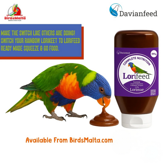 Switch Your Lorikeet to LoriFeed | Malta’s Favourite Ready To Use Nectar
