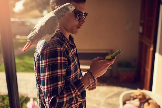 Essential Tips for Parrot Care