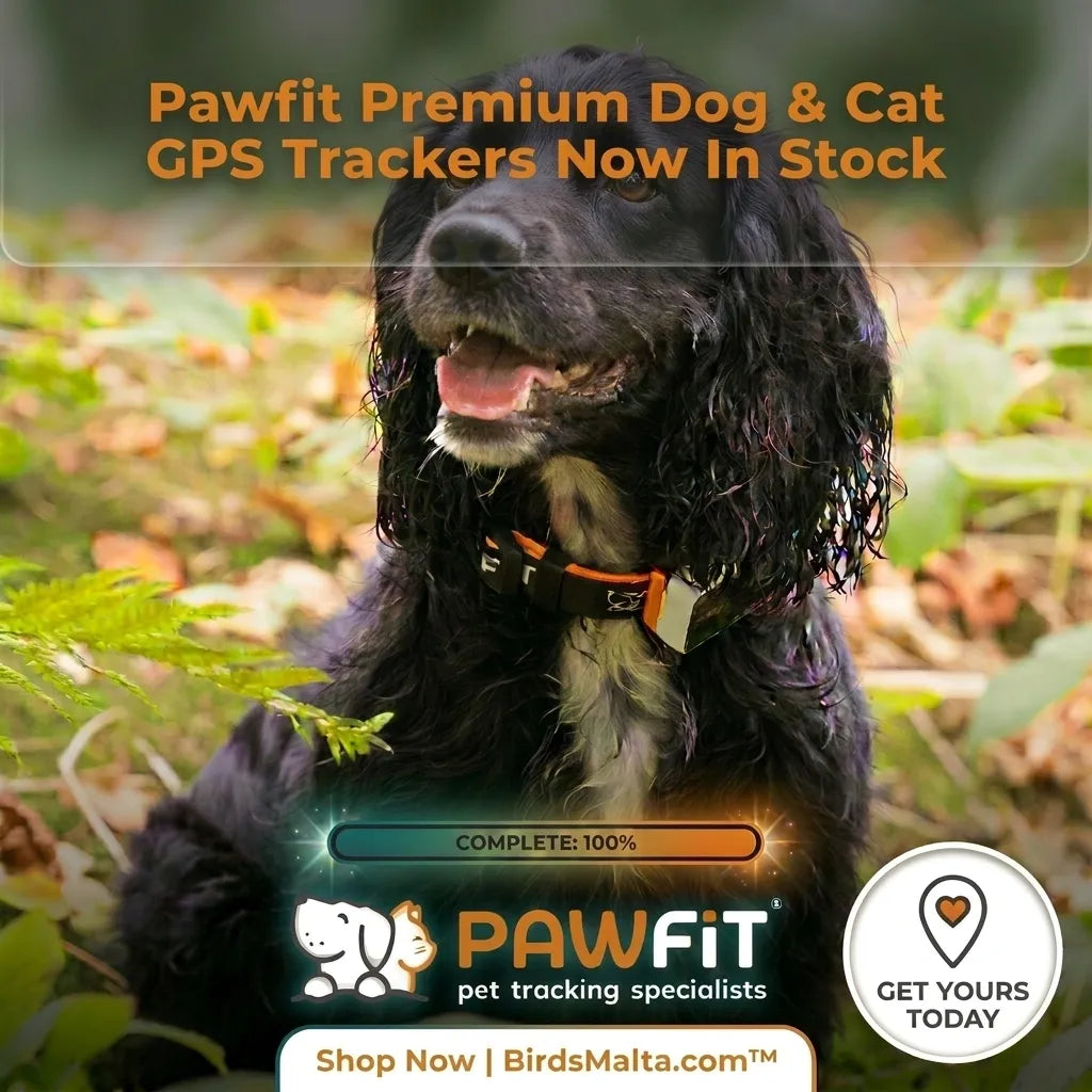 Pawfit 4G LTE waterproof pet GPS tracker for dogs and cats available at BirdsMalta.com™