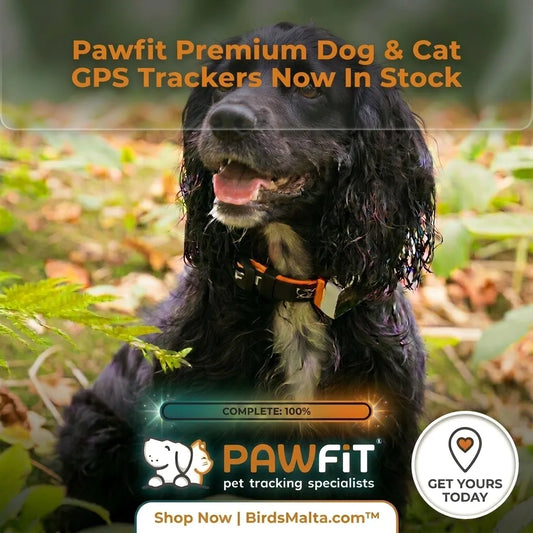 Pawfit 4G LTE waterproof pet GPS tracker for dogs and cats available at BirdsMalta.com™