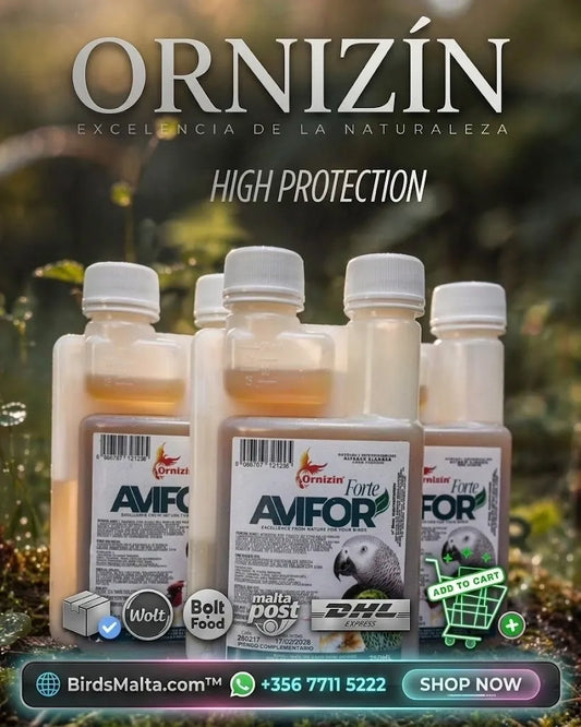 Ornizin Avifor Forte 250ml premium bird health and breeding supplement bottle
