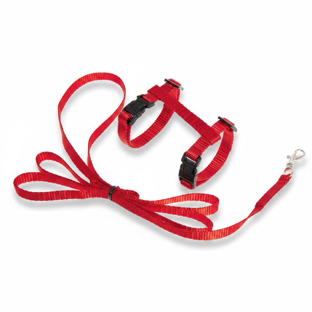 Flamingo Ziggi red adjustable kitten harness with matching 120 cm leash