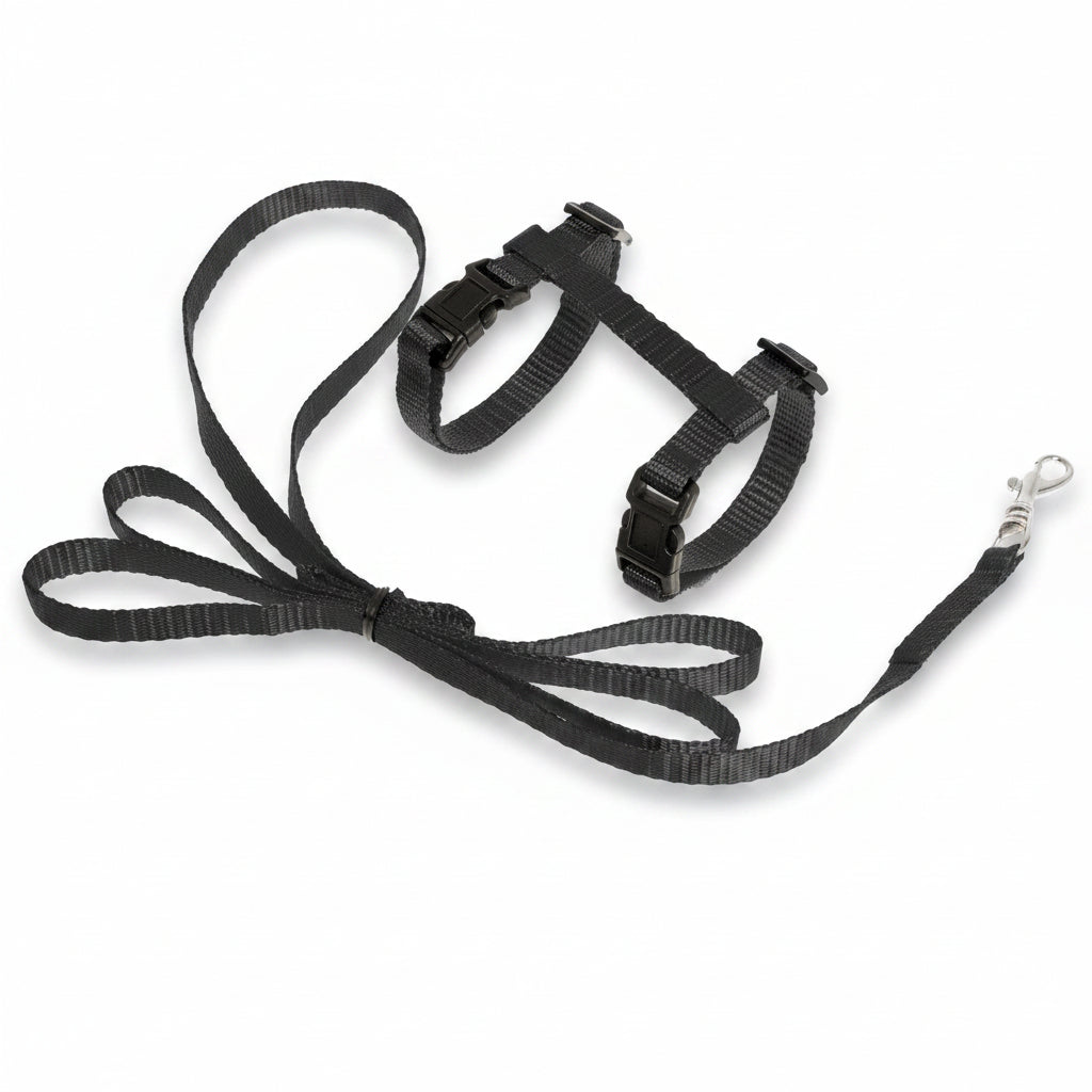 Flamingo Ziggi black adjustable kitten harness with matching 120 cm leash