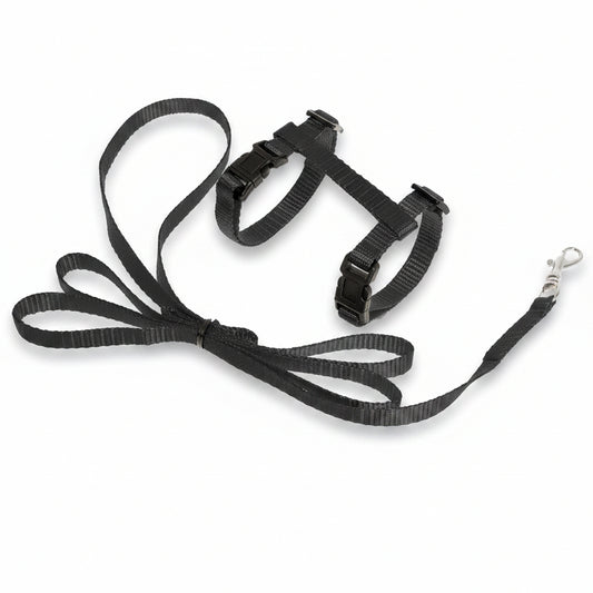 Flamingo Ziggi black adjustable kitten harness with matching 120 cm leash