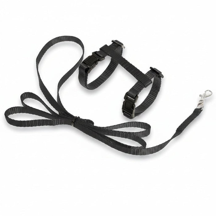 Flamingo Ziggi black adjustable kitten harness with matching 120 cm leash