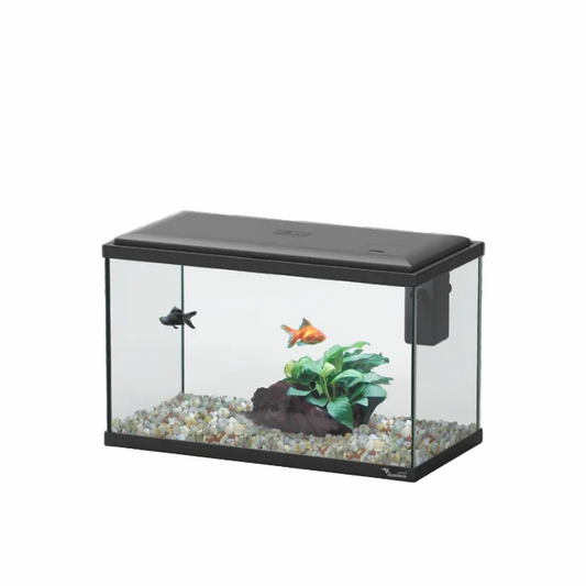 Aquatlantis Explorer Lisbon black 22 litre aquarium kit with LED light and filter