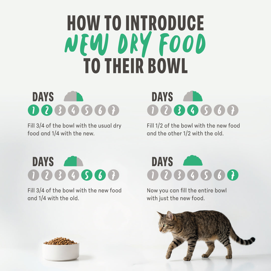 Schesir Hairball Chicken monoprotein dry cat food 1.5kg official product image 4
