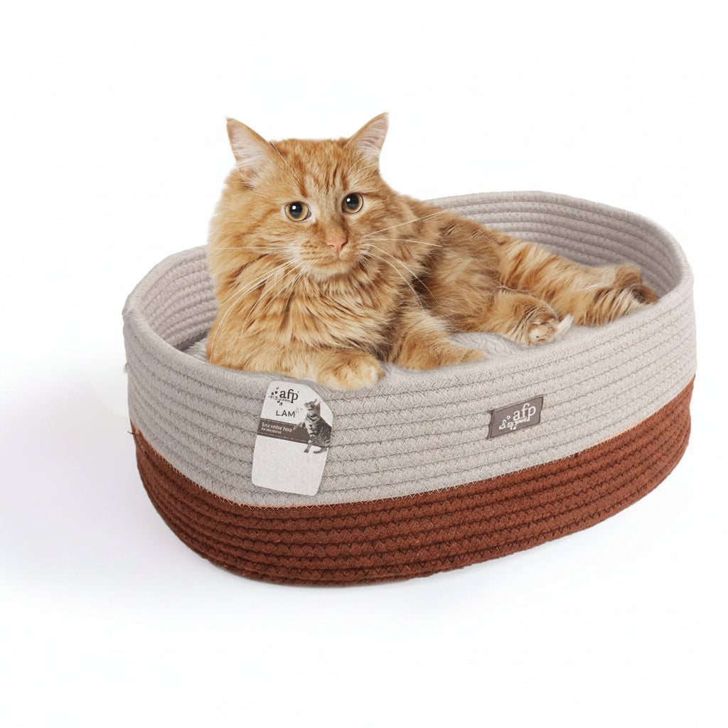 An orange tabby cat lies inside a round rope pet bed with a light beige top and a brown bottom band, photographed on a clean white background.