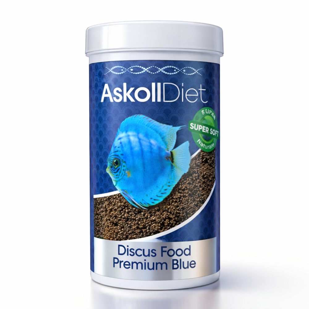 A cylindrical white plastic tub of Askoll Diet Discus Food Premium Blue fish food, featuring a blue discus fish and brown granules on a dark blue label, set against a plain white background.