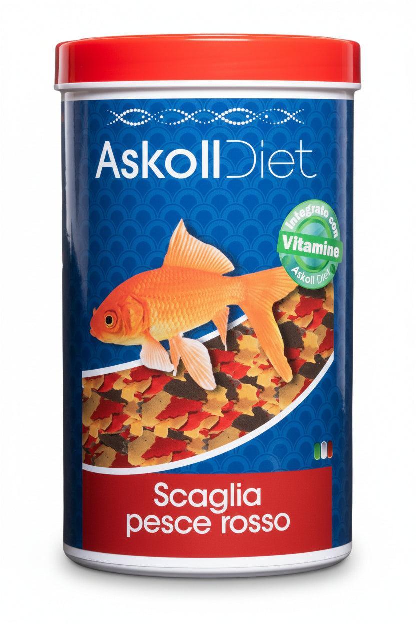 A cylindrical container of Askoll Diet fish food for red-skinned fish, featuring a blue label with an orange goldfish illustration and a red lid, on a plain white background.