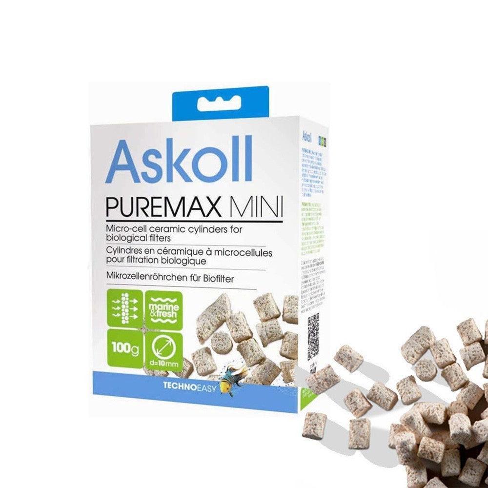 Askoll PureMax Mini biological filter media box with several beige ceramic filter cylinders scattered on a white background.