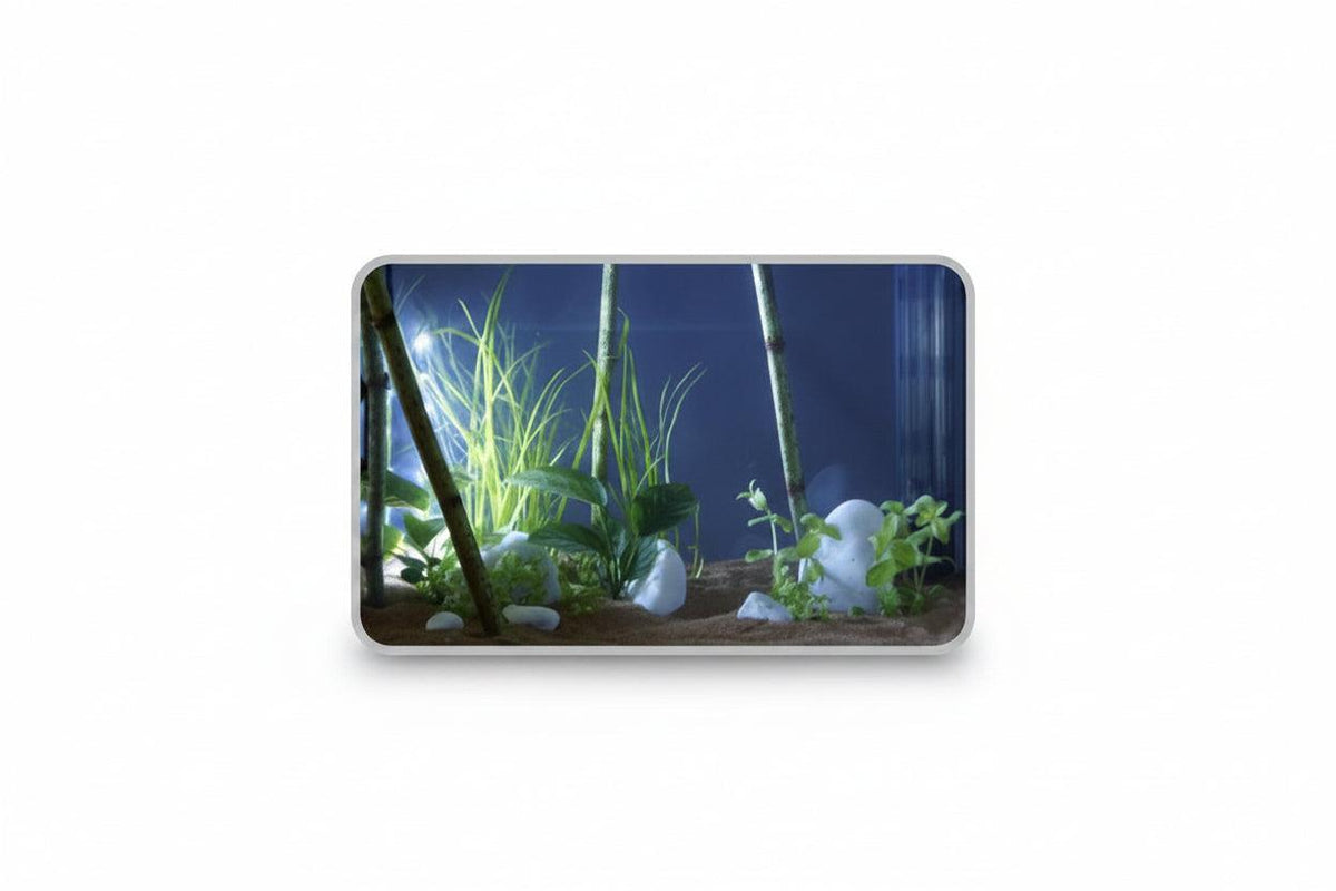 Small aquarium with plants and rocks on a white background