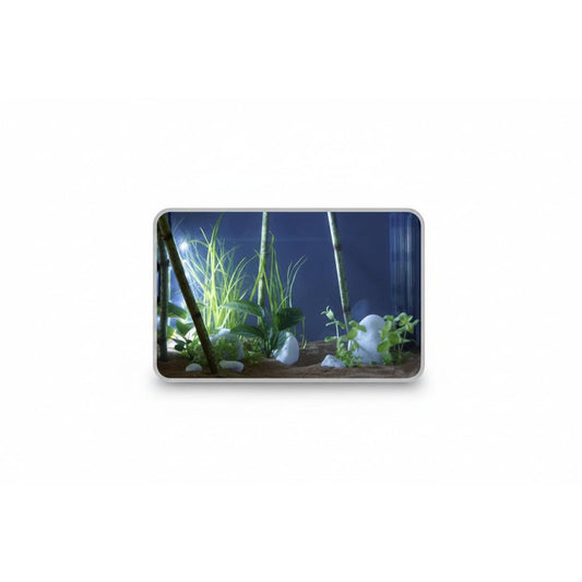 Small aquarium with plants and rocks on a white background