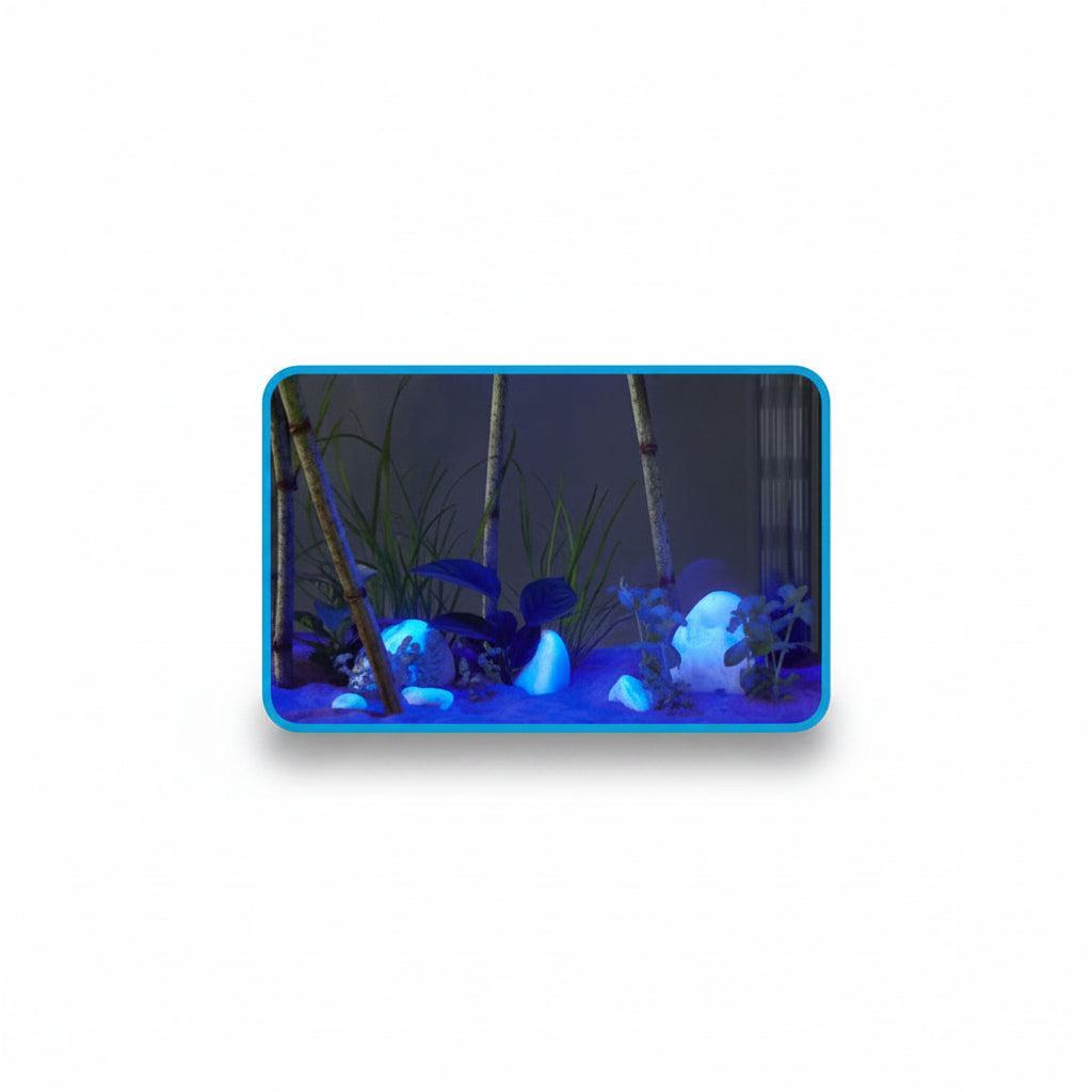 aquarium with blue led light from Askoll