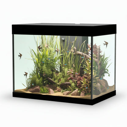 A rectangular glass aquarium with a black frame and lid, filled with green aquatic plants, sand substrate, driftwood, and several small fish, shown on a plain white background.