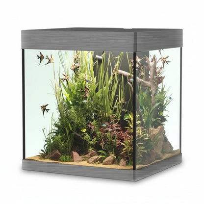 Fish tank with plants and fish on a white background