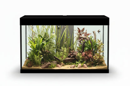 Askoll Opera Fish tank with plants and fish on a white background