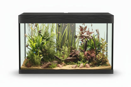 Askoll Opera Steel Aquarium with plants and fish on a white background