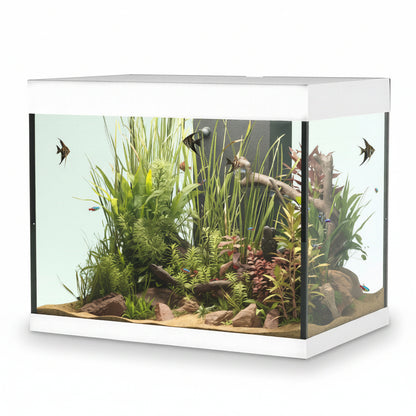A large rectangular aquarium with a white frame and glass front, filled with green aquatic plants, driftwood, rocks, and several small fish, shown against a plain white background.