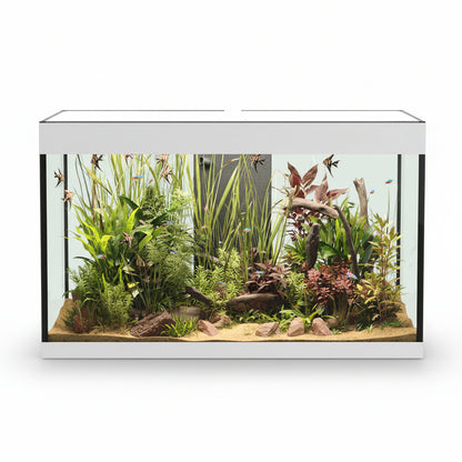 A rectangular Askoll Opera 110 glass aquarium with a white frame, filled with green and reddish plants, driftwood, rocks, and sand, shown against a plain white background.