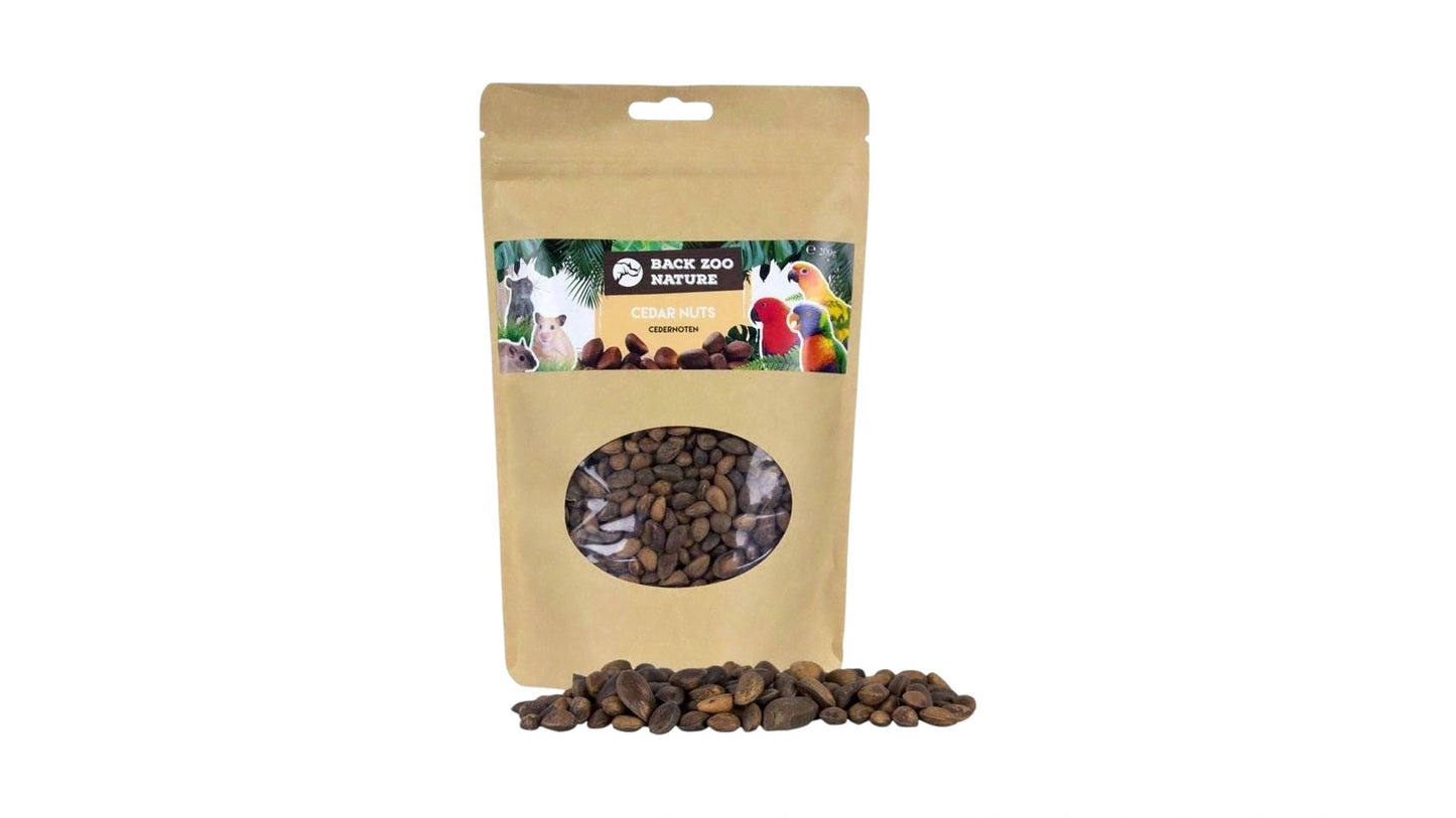 Back Zoo Nature Cedar Nuts 200 gram Parrot Bird Treats