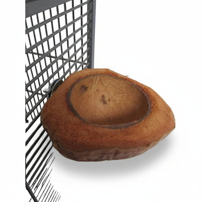 Back Zoo Nature Bird & Parrot Coconut Feeding Dish