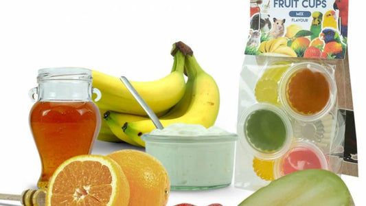 Back Zoo Nature Fruit Cups ( Jelly Pods ) Mix 6 pcs