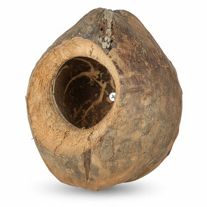 A natural brown coconut shell wall-mounted birdhouse with a circular entrance hole and a small metal screw fastener visible inside, isolated on a white background.