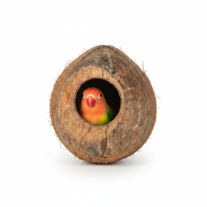 Bird peeking out from a wooden nest box against a white background
