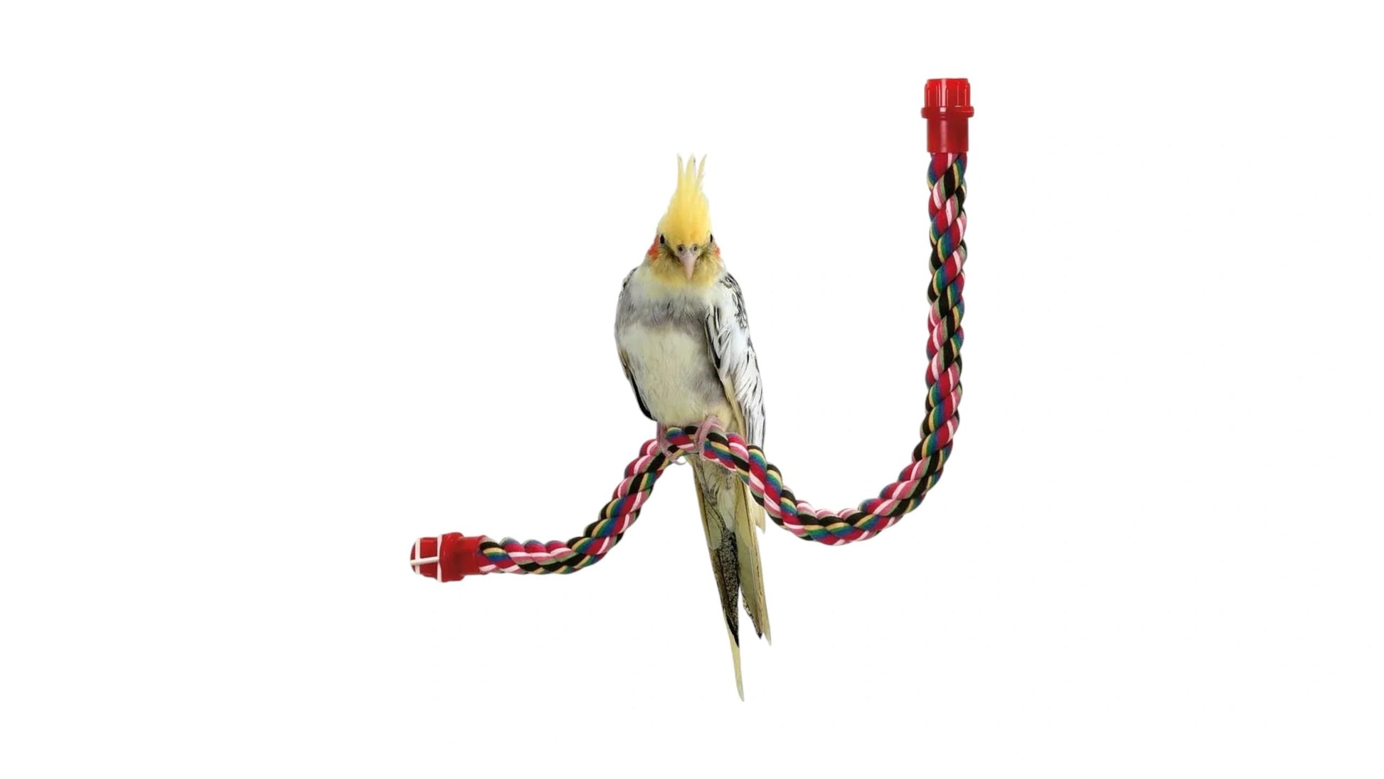 Bird Bar Cotton Twister, 37cm